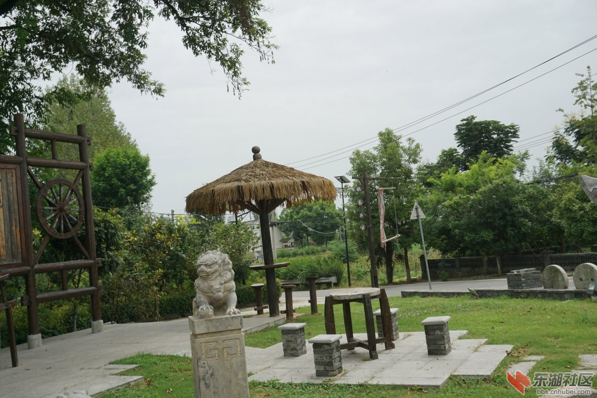 DSC00492.JPG
