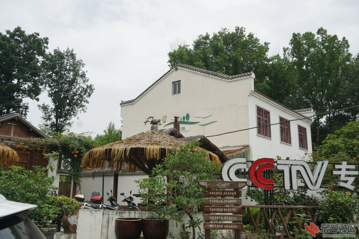 DSC00473.JPG