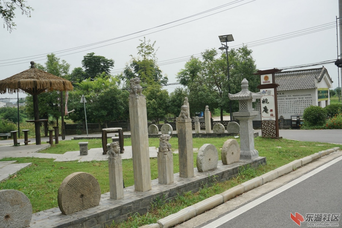 DSC00480.JPG