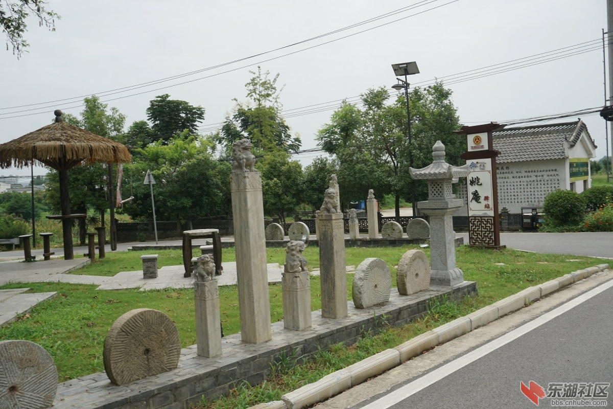 DSC00478.JPG