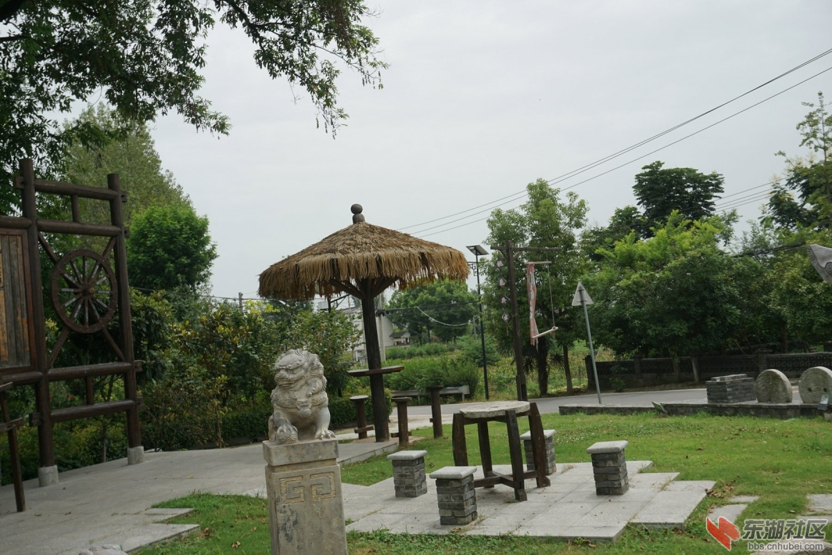 DSC00490.JPG