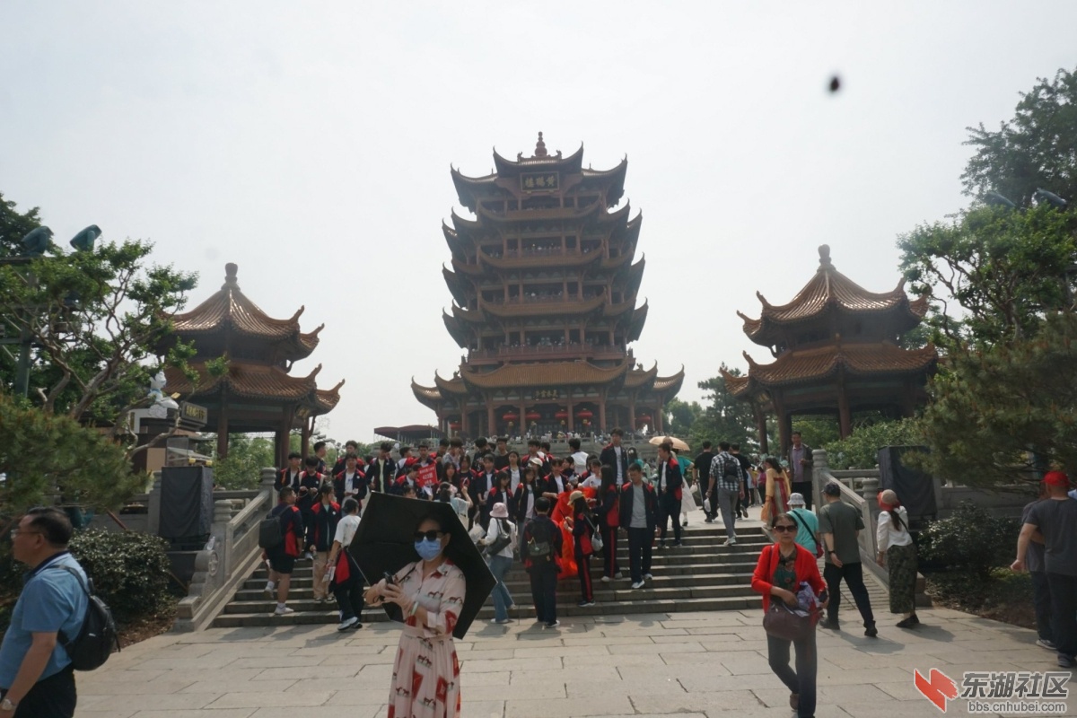 DSC04731.JPG