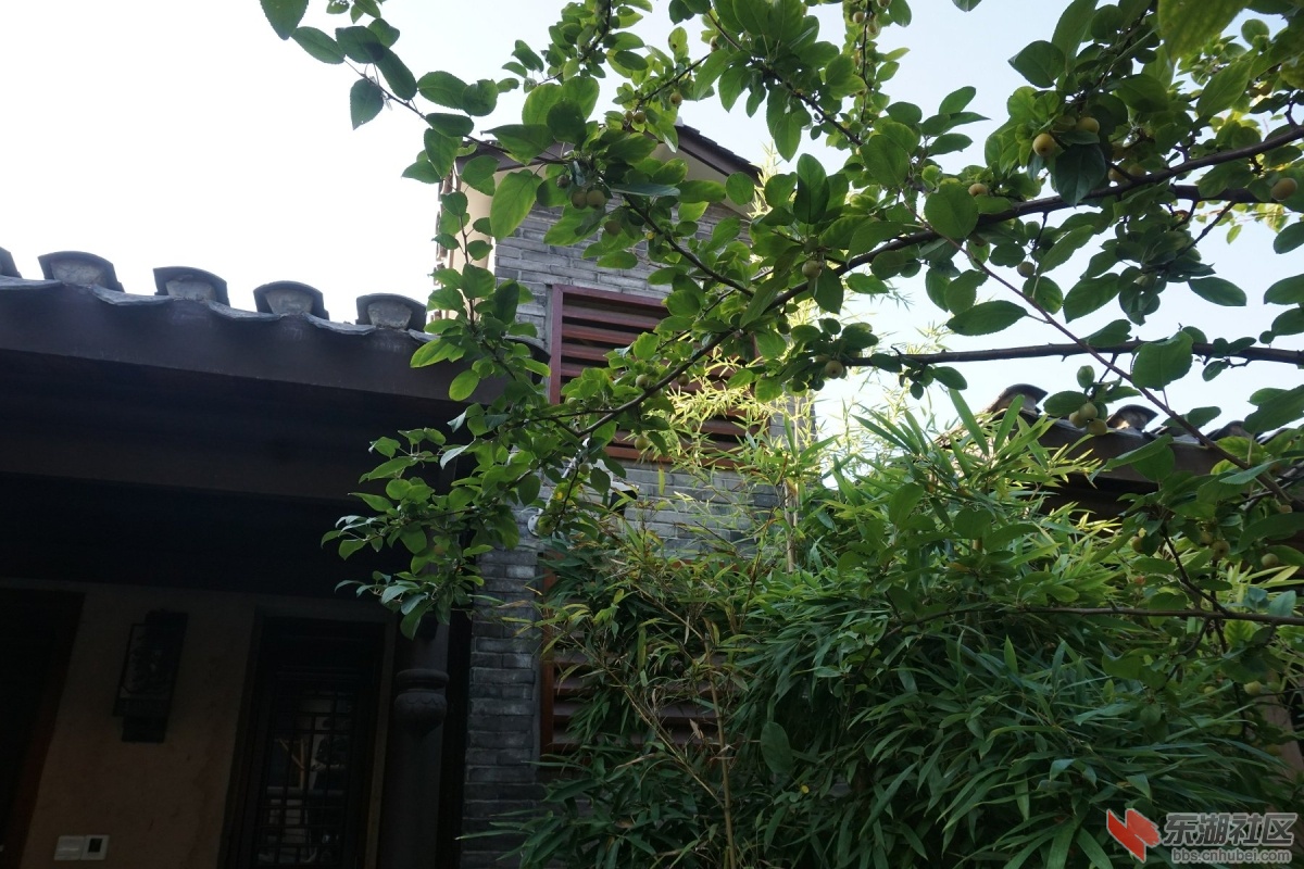 DSC02410.JPG