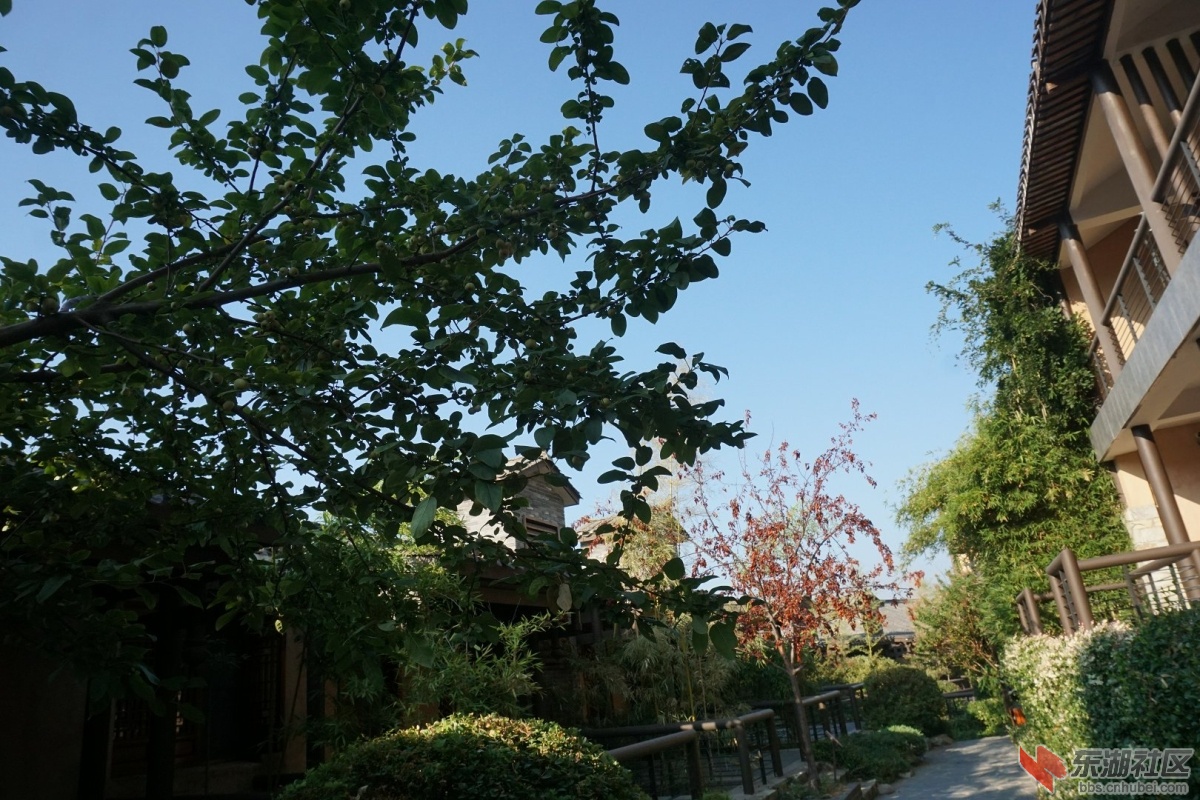 DSC02421.JPG