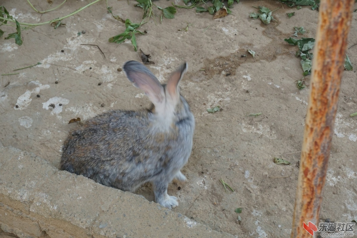 DSC02802.JPG
