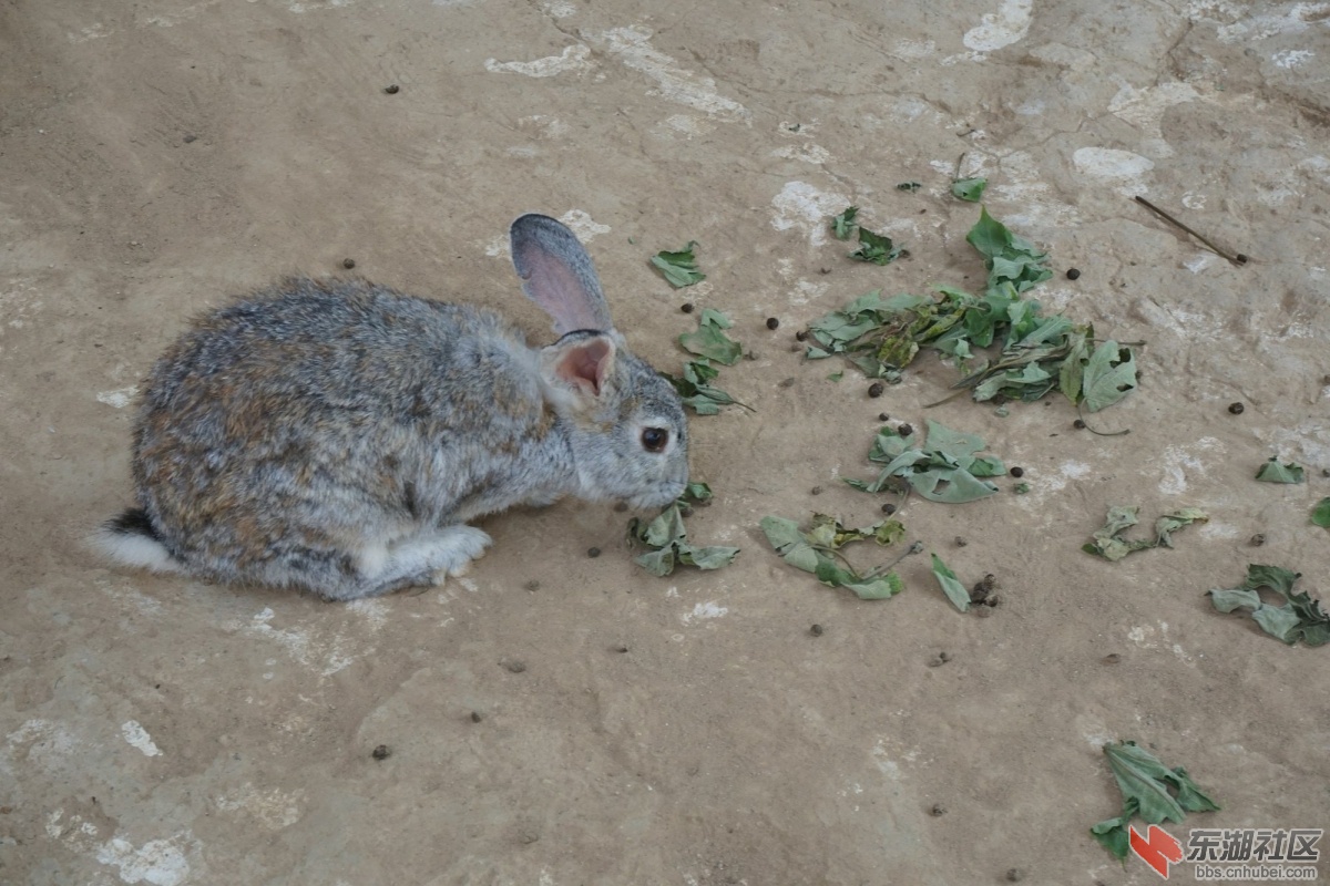 DSC02814.JPG