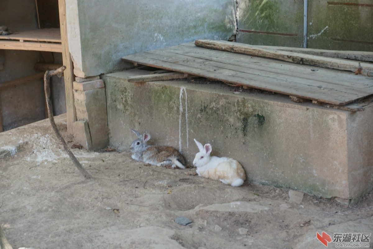 DSC02826.JPG