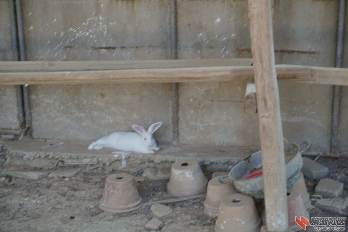 DSC02836.JPG