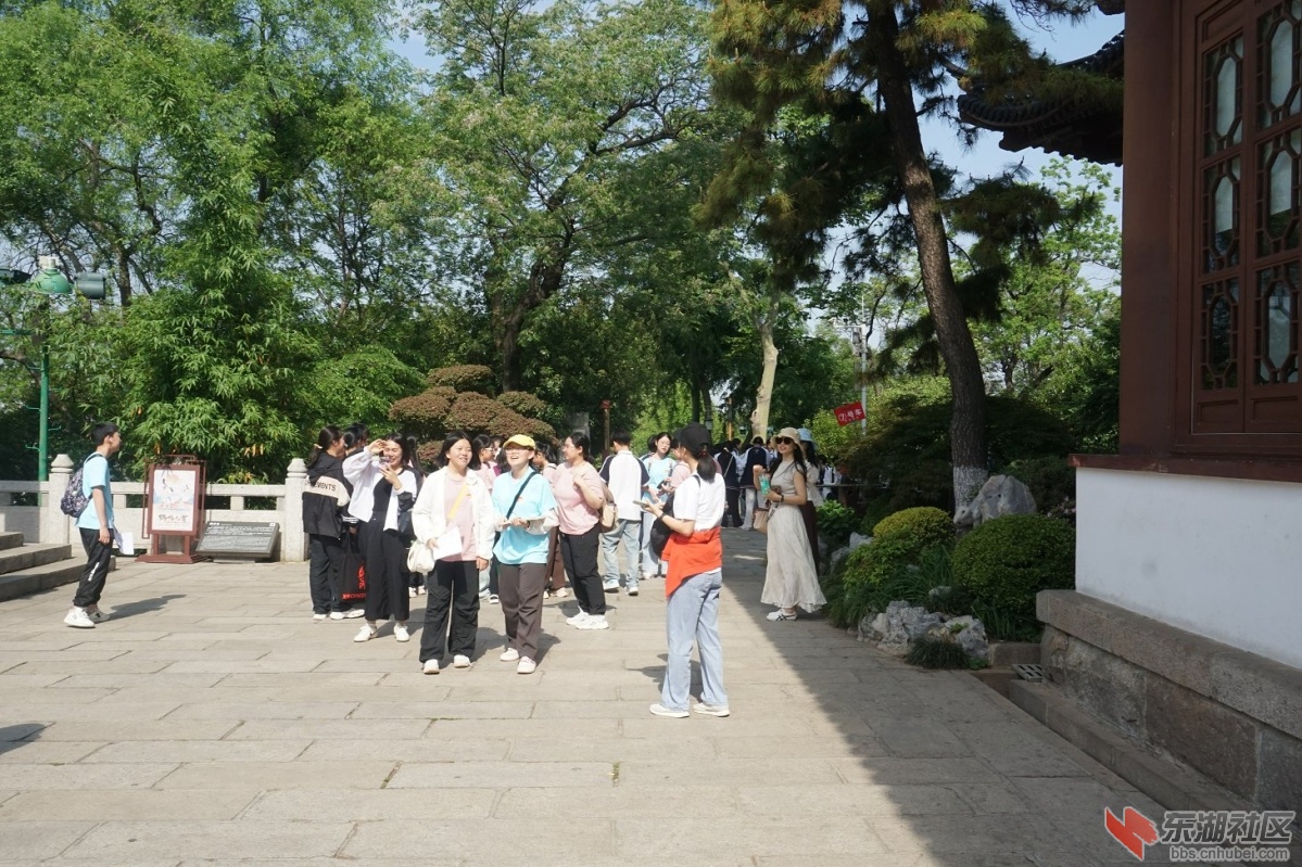 DSC05382.JPG