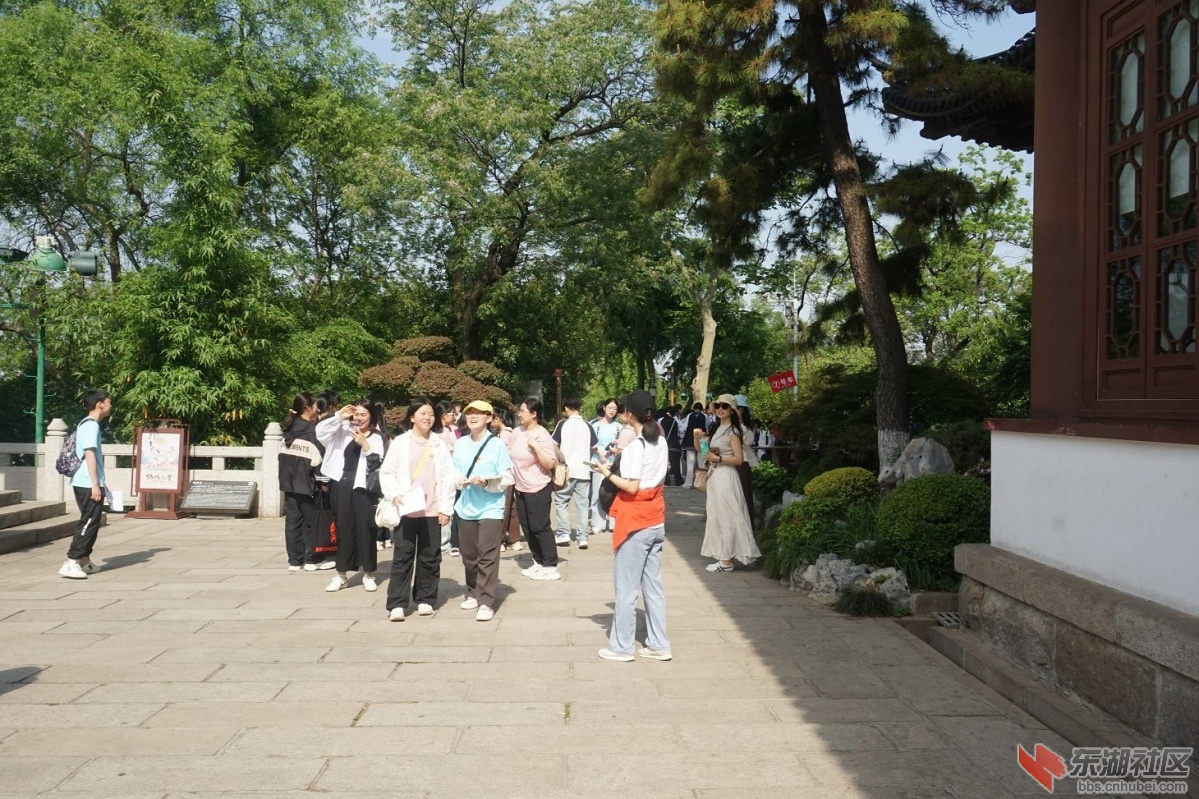 DSC05384.JPG