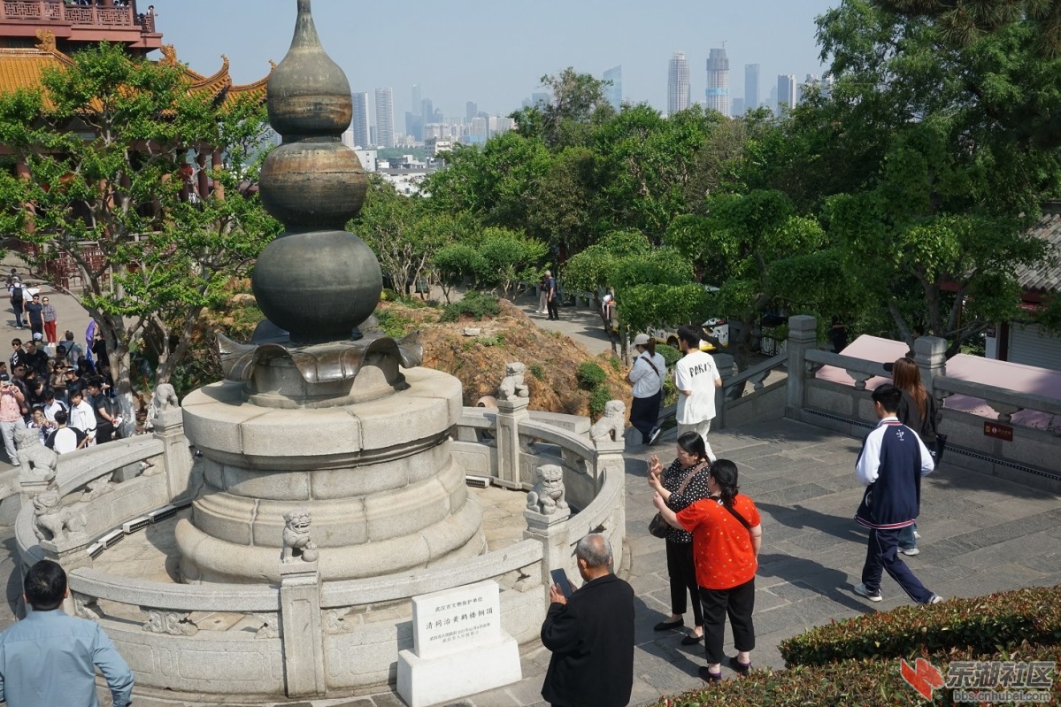 DSC05674.JPG
