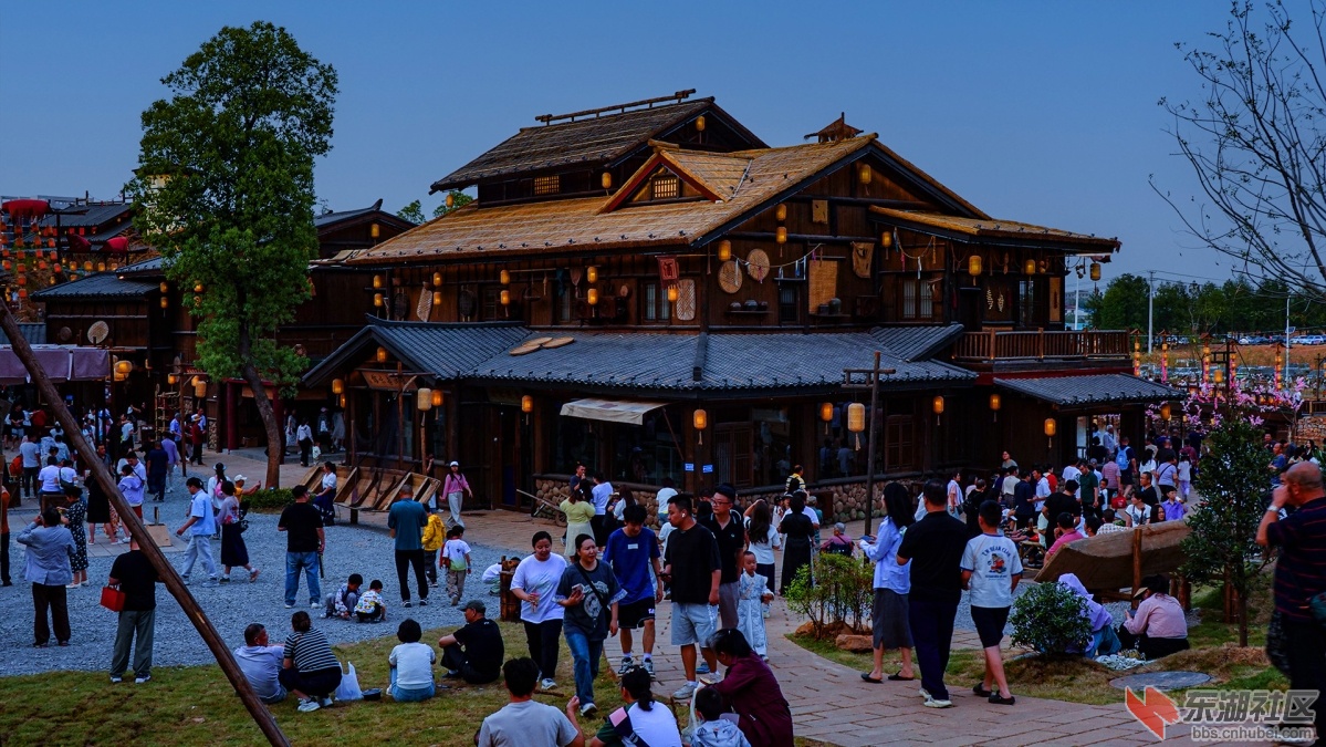 DSC00342 拷贝.jpg