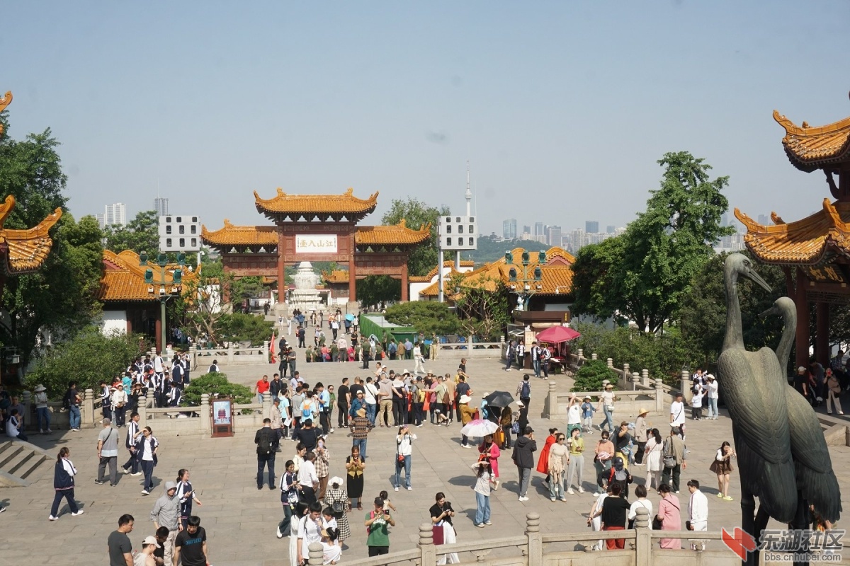 DSC05915.JPG