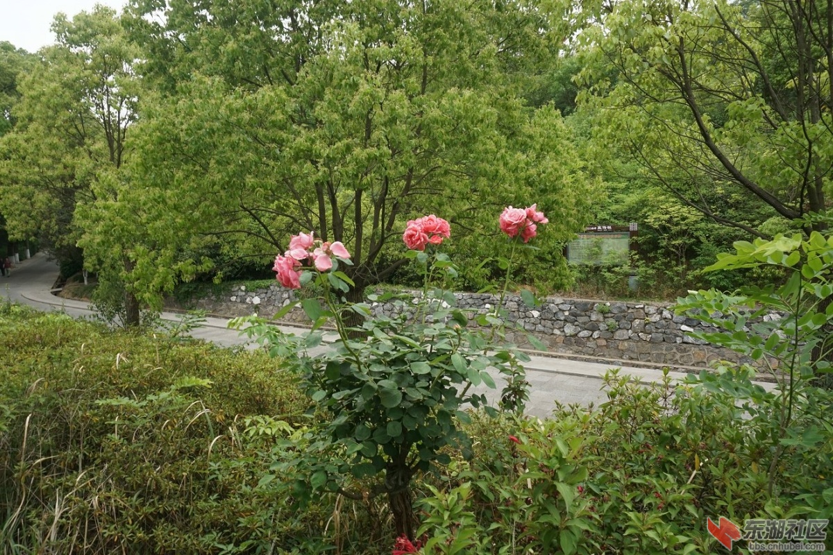 DSC00086.JPG