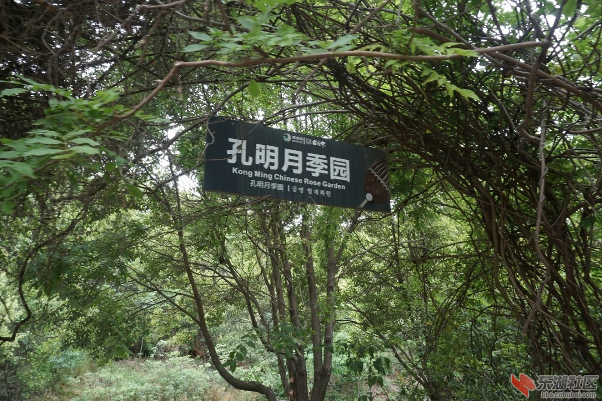 DSC00090.JPG