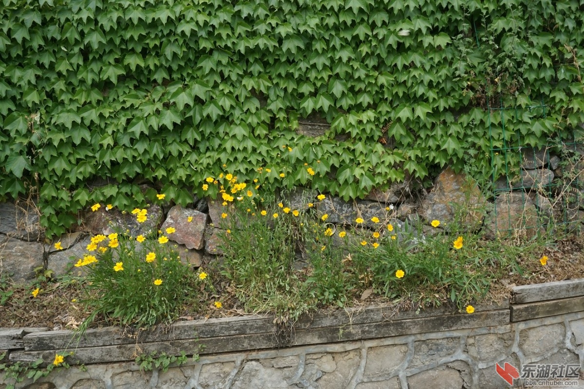 DSC00096.JPG