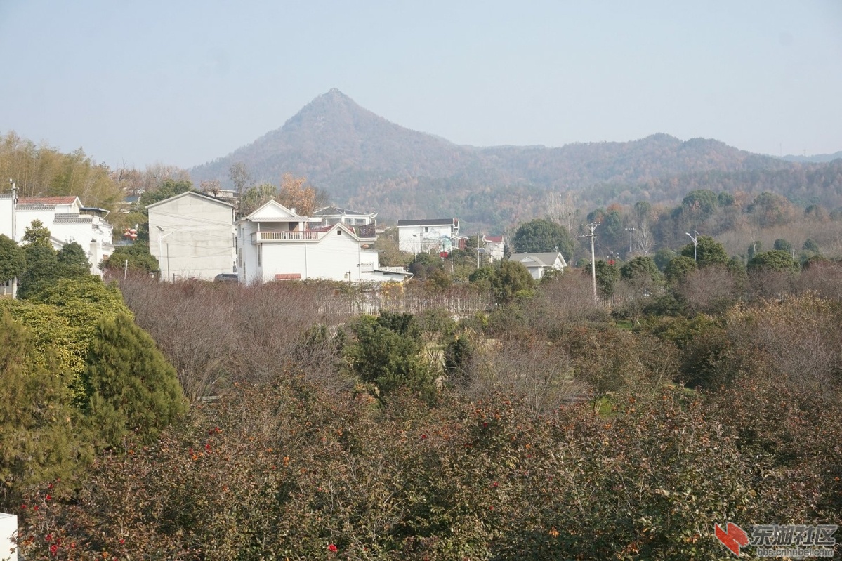 DSC06270.JPG