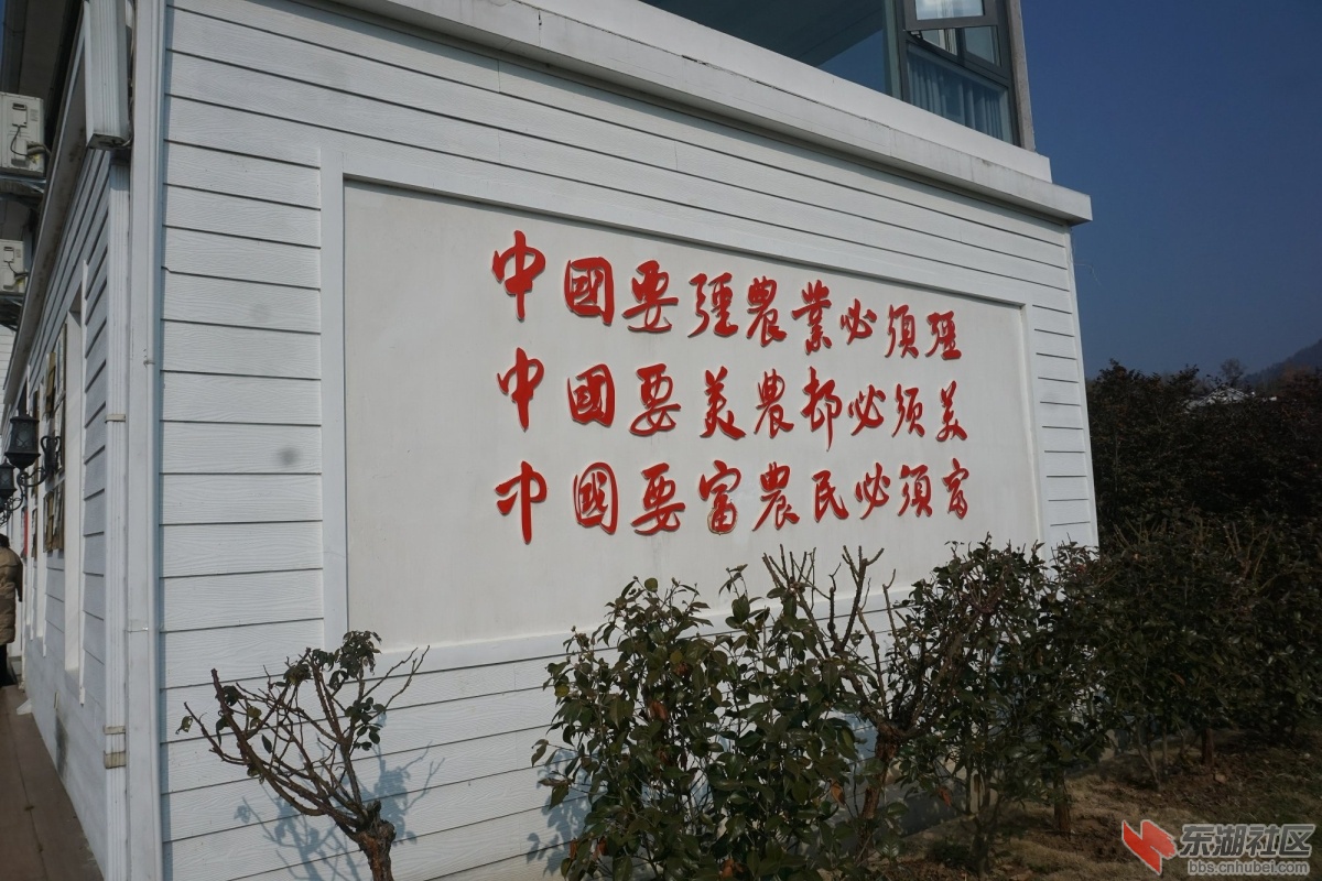 DSC06169.JPG