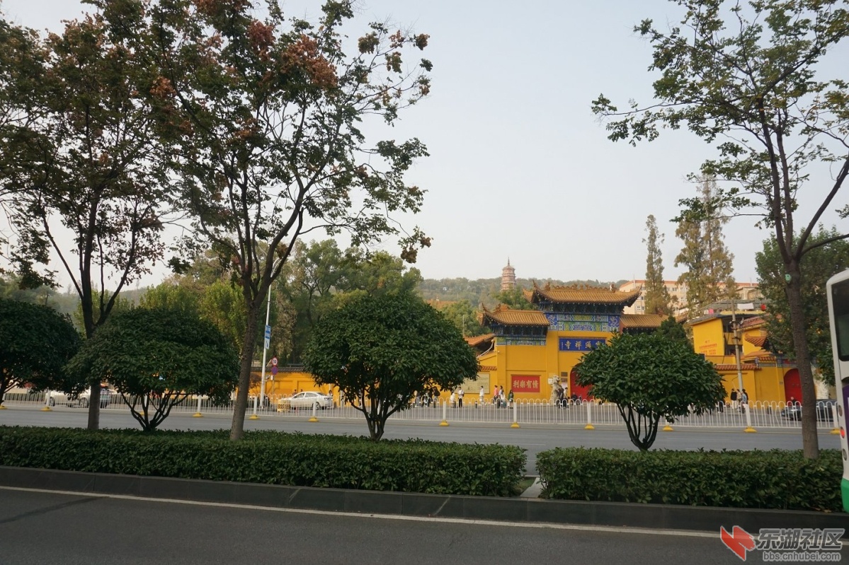 DSC01134.JPG