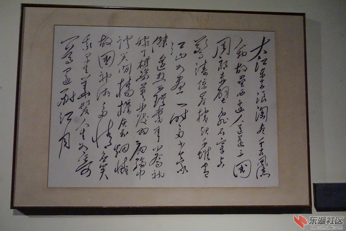 DSC02184.JPG