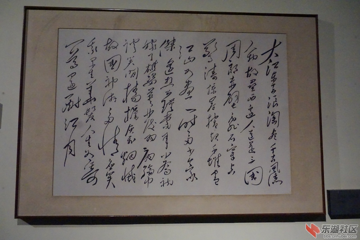 DSC02187.JPG