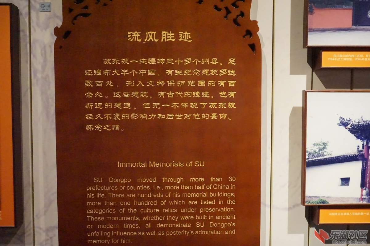 DSC02217.JPG