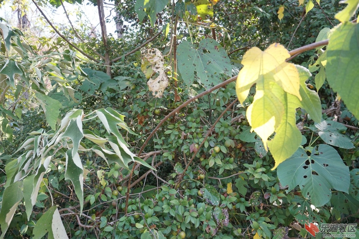 DSC02580.JPG