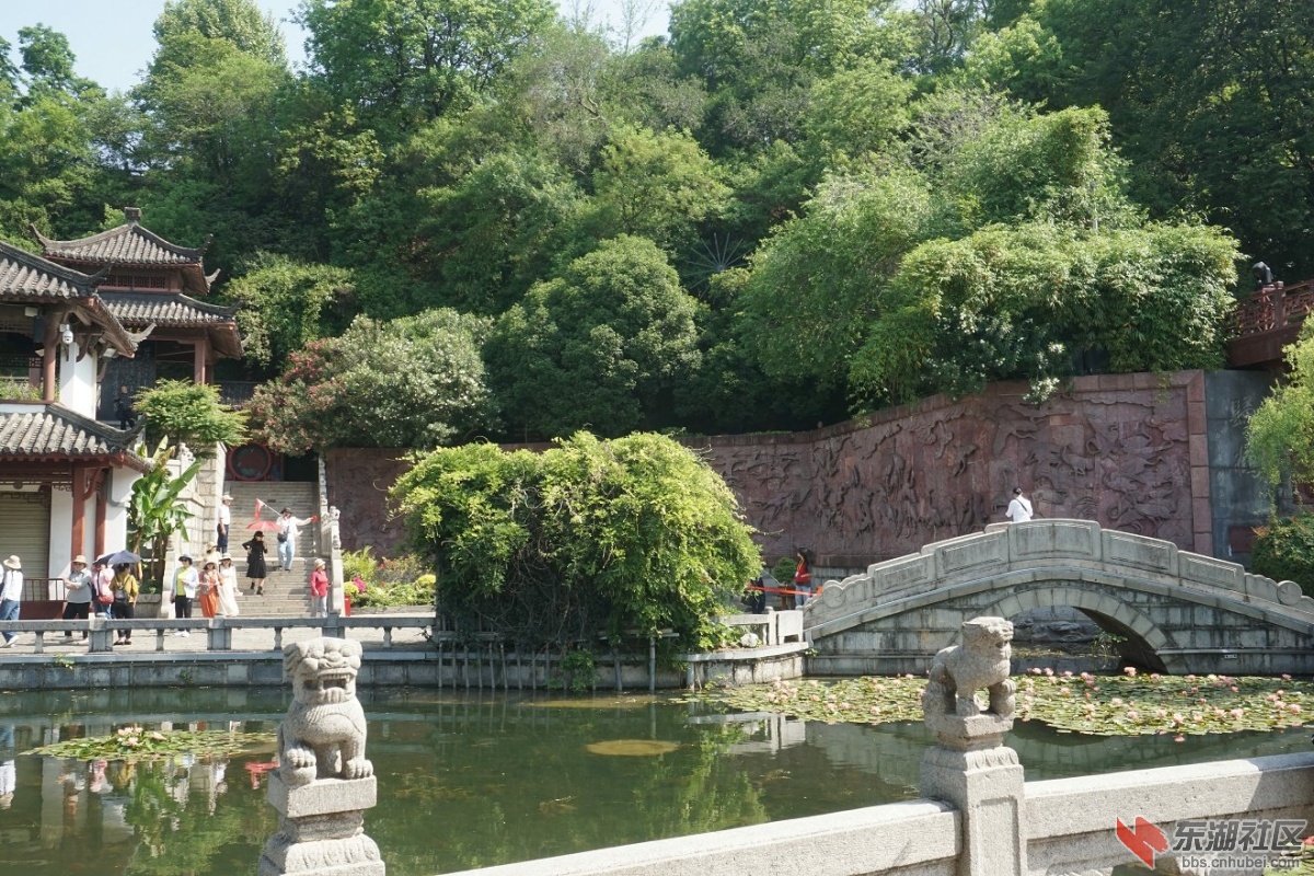 DSC06260.JPG