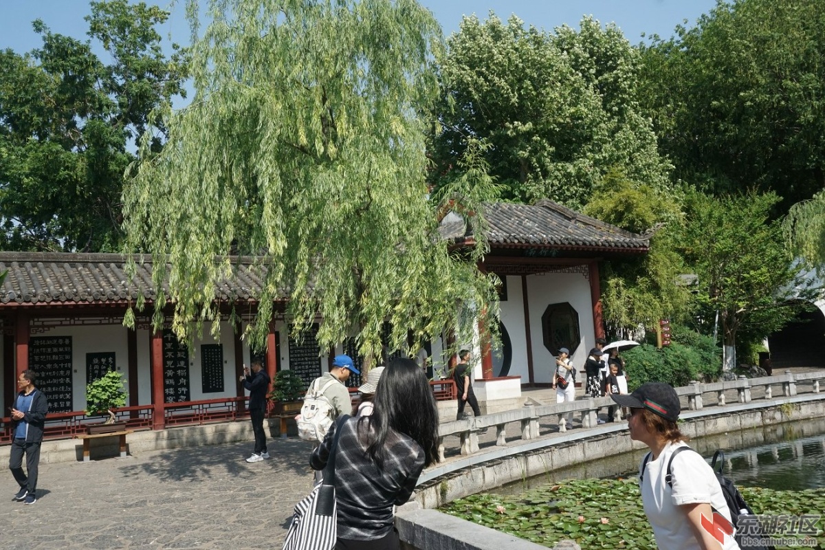DSC06222.JPG