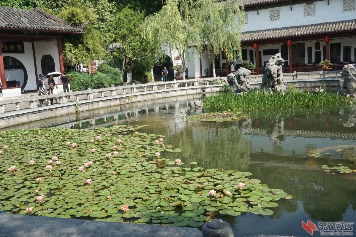 DSC06228.JPG