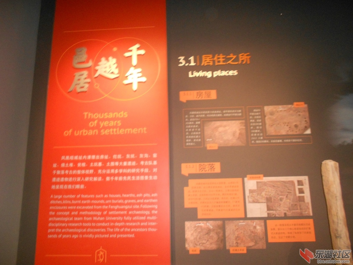DSCN0859.JPG