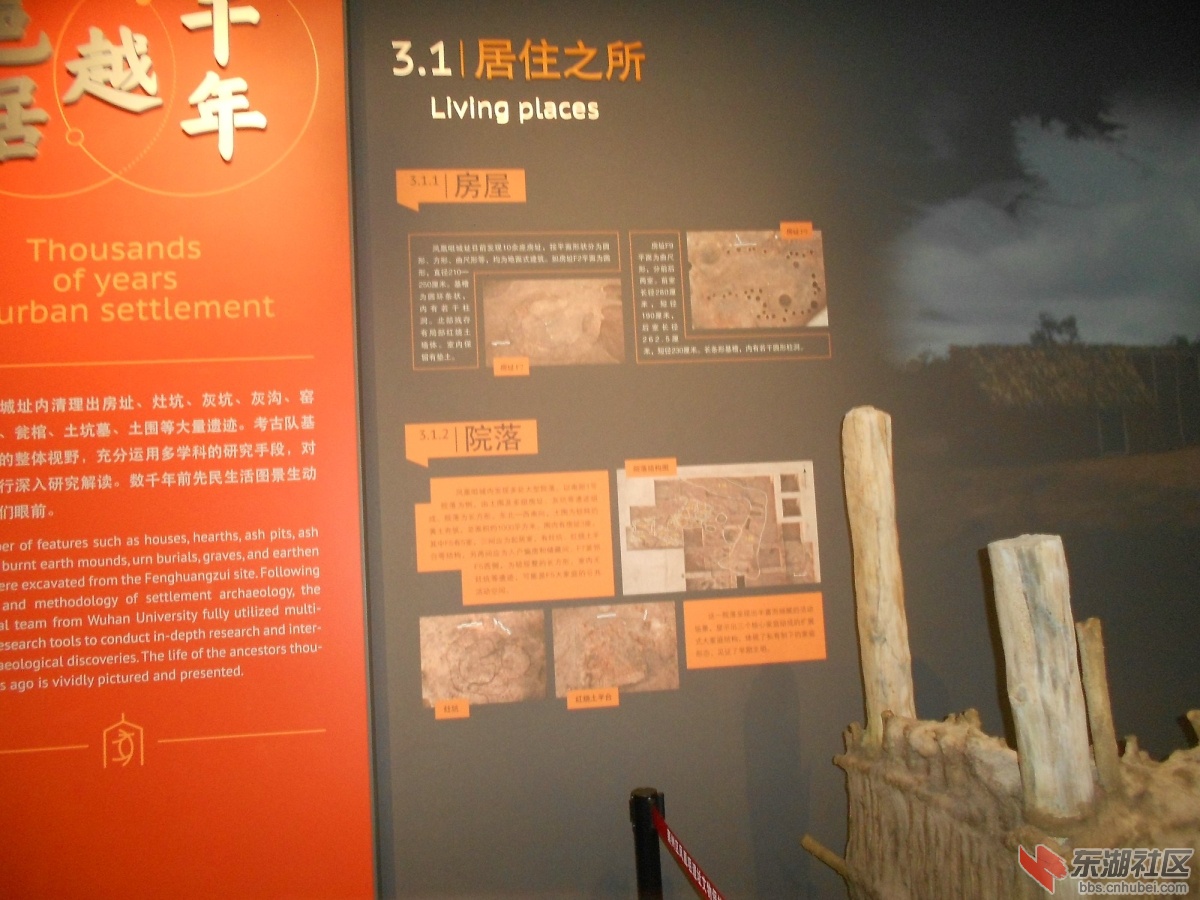 DSCN0861.JPG
