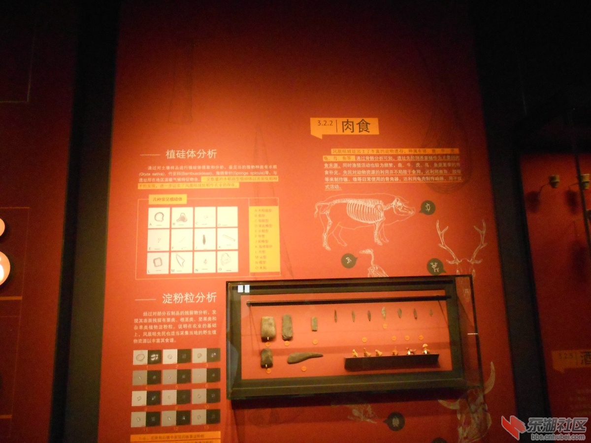 DSCN0862.JPG