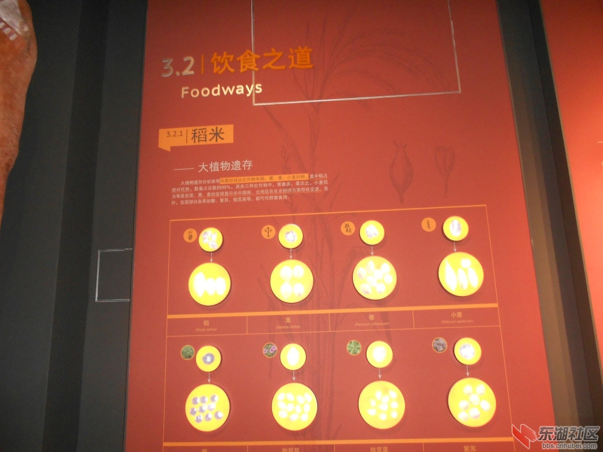 DSCN0864.JPG