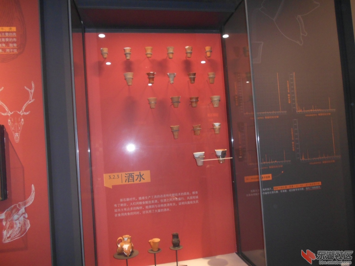 DSCN0865.JPG