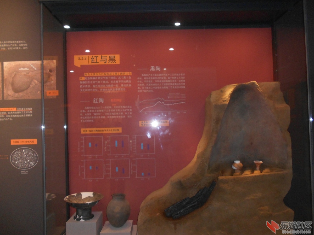 DSCN0868.JPG