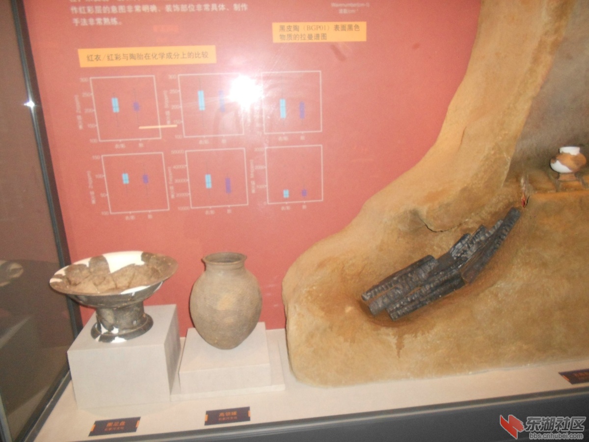 DSCN0870.JPG