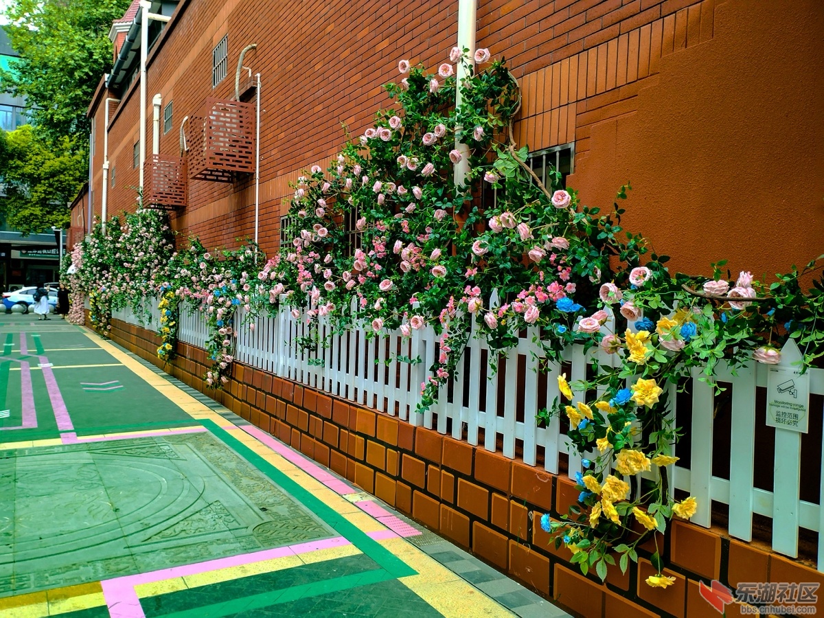 6    IMG_20250514_153402 拷贝.jpg