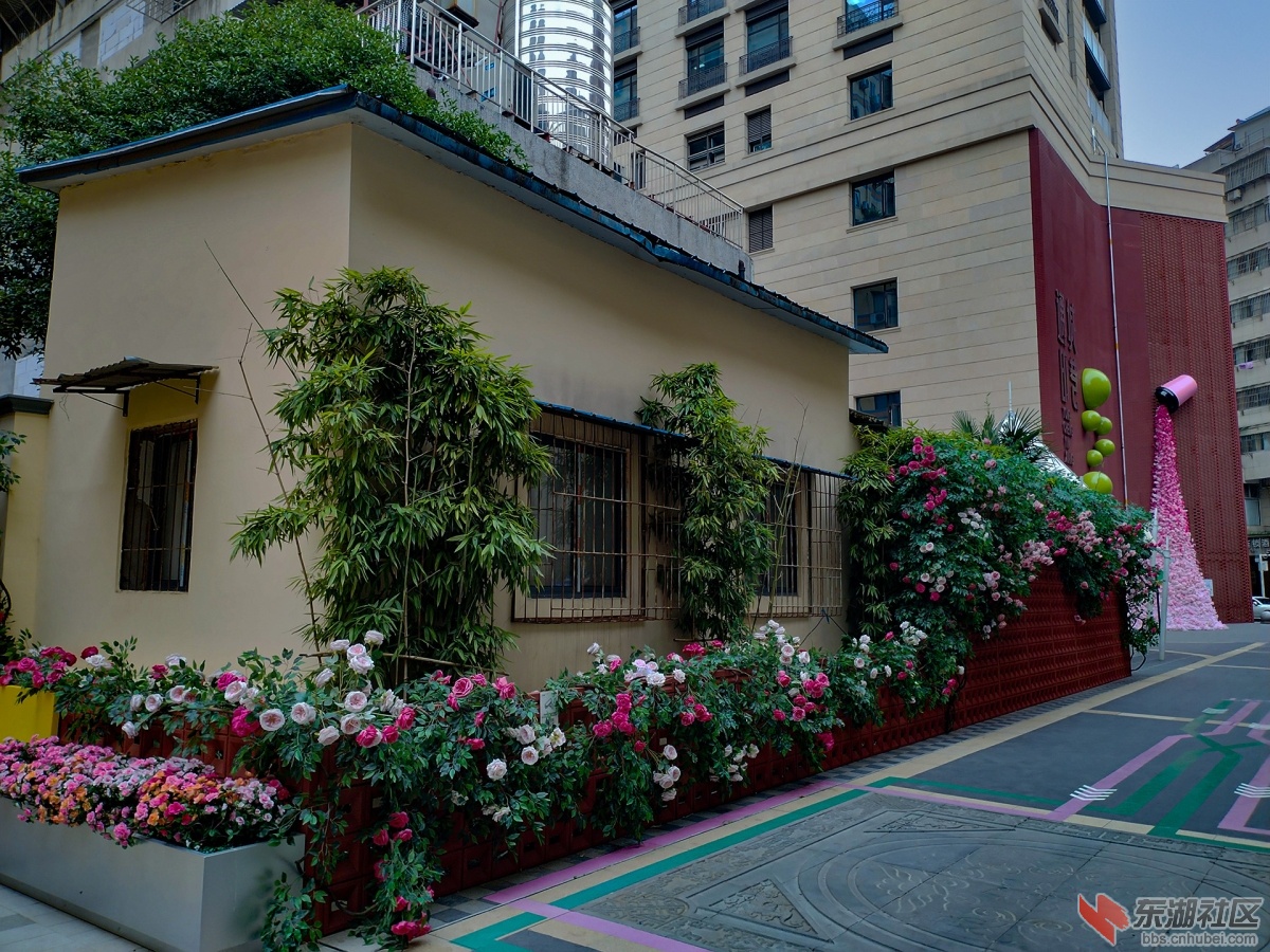 19     IMG_20250514_153817 拷贝 2.jpg