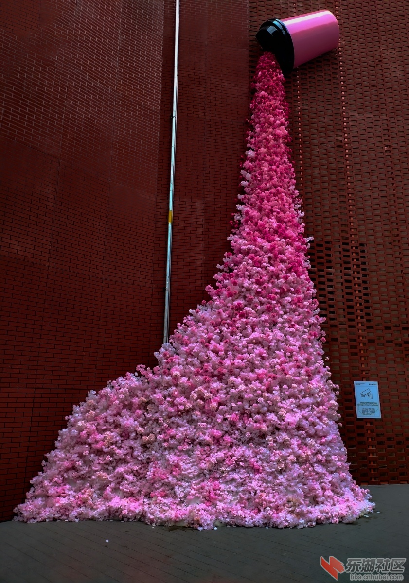 22    IMG_20250514_154103 拷贝.jpg