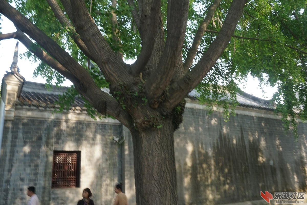 DSC00630.JPG