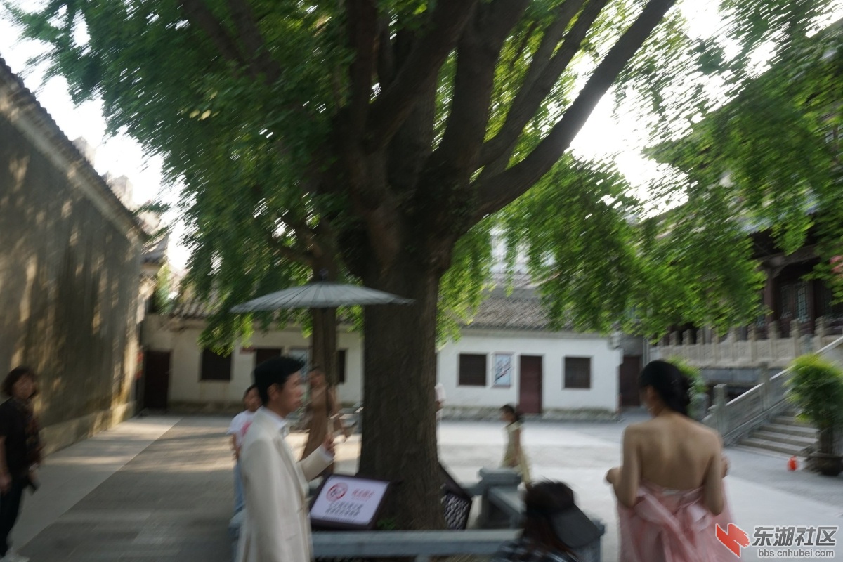 DSC00624.JPG