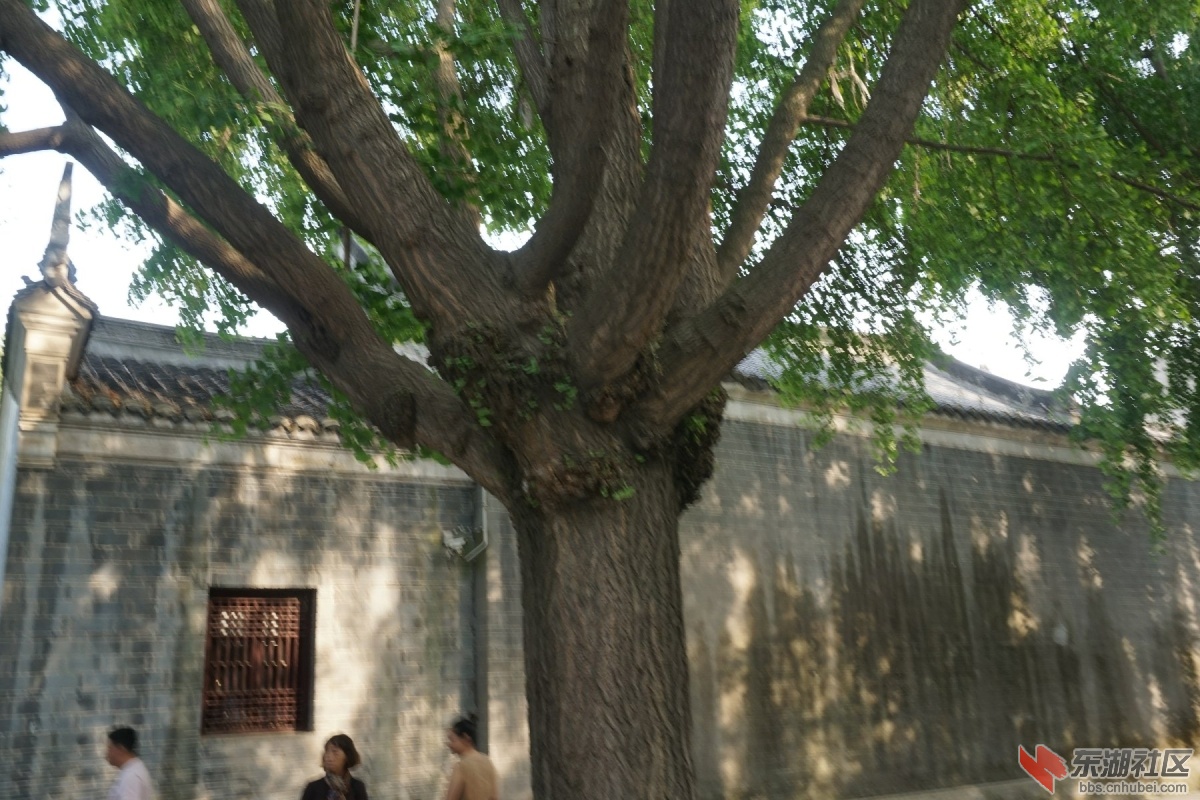 DSC00632.JPG