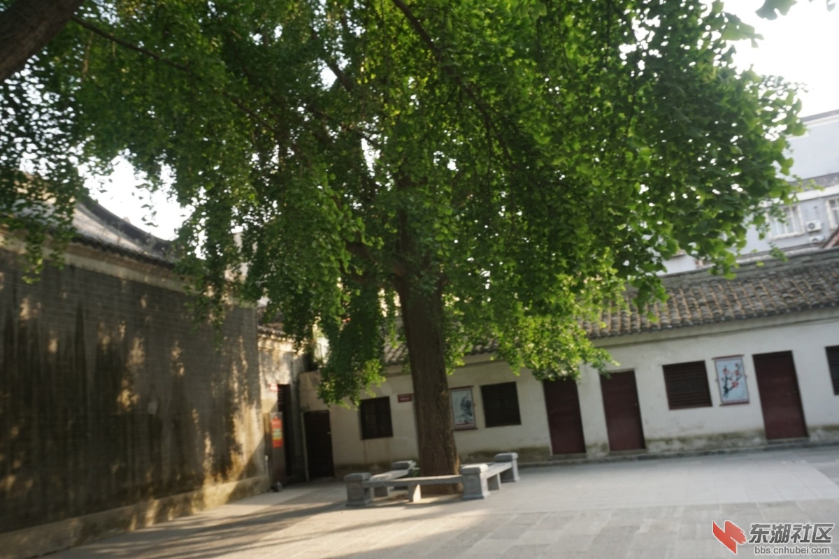 DSC00638.JPG
