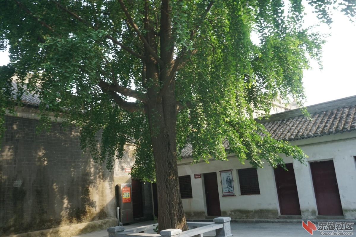 DSC00646.JPG