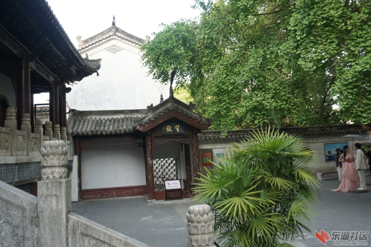 DSC00654.JPG