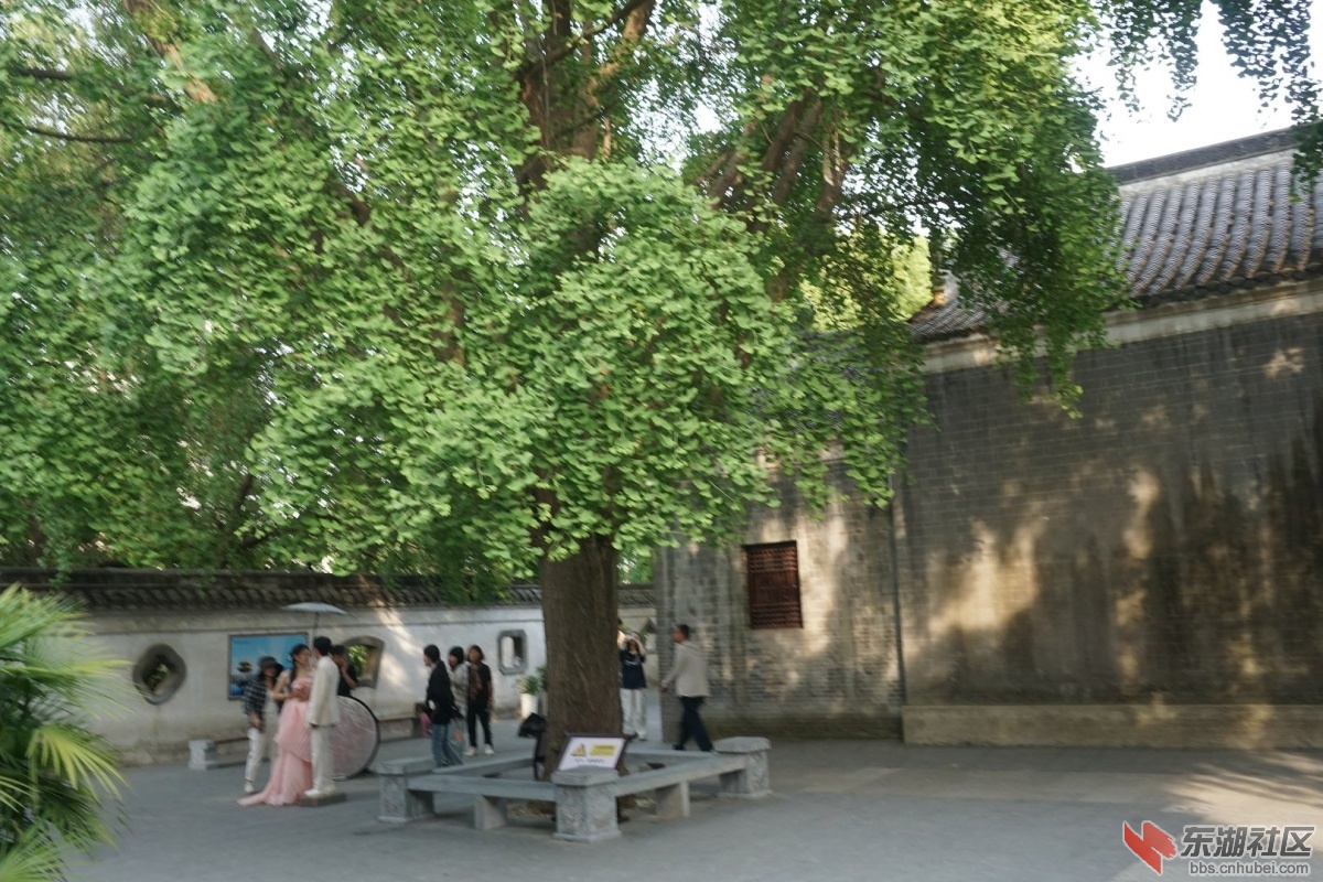 DSC00660.JPG