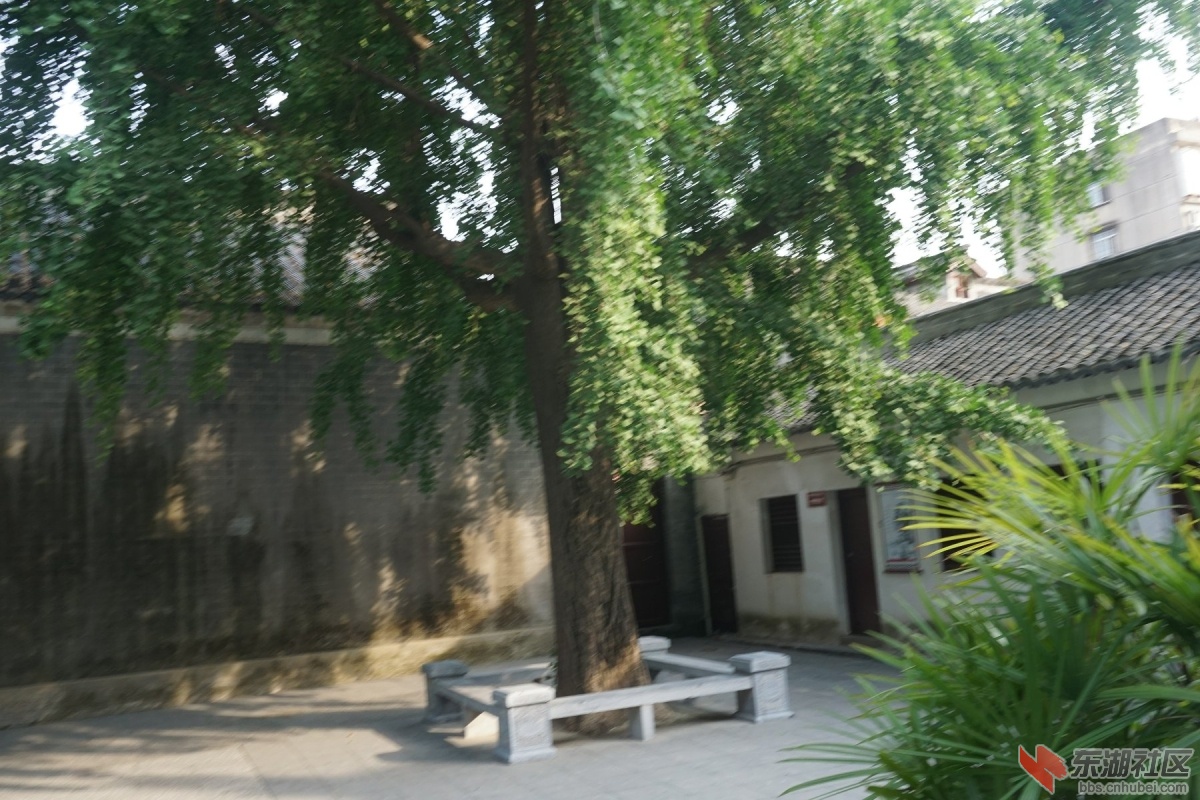 DSC00657.JPG