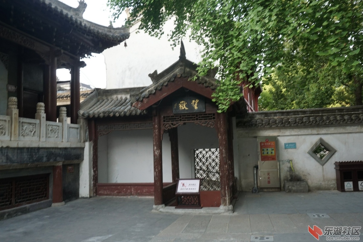DSC00675.JPG