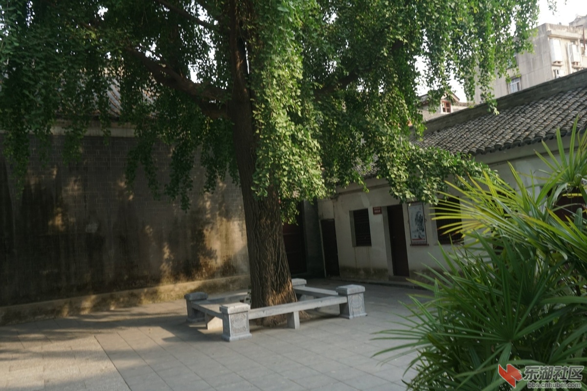 DSC00665.JPG